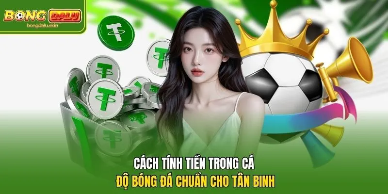 Cách Tính Tiền Trong Cá Độ Bóng Đá Chuẩn Cho Tân Binh